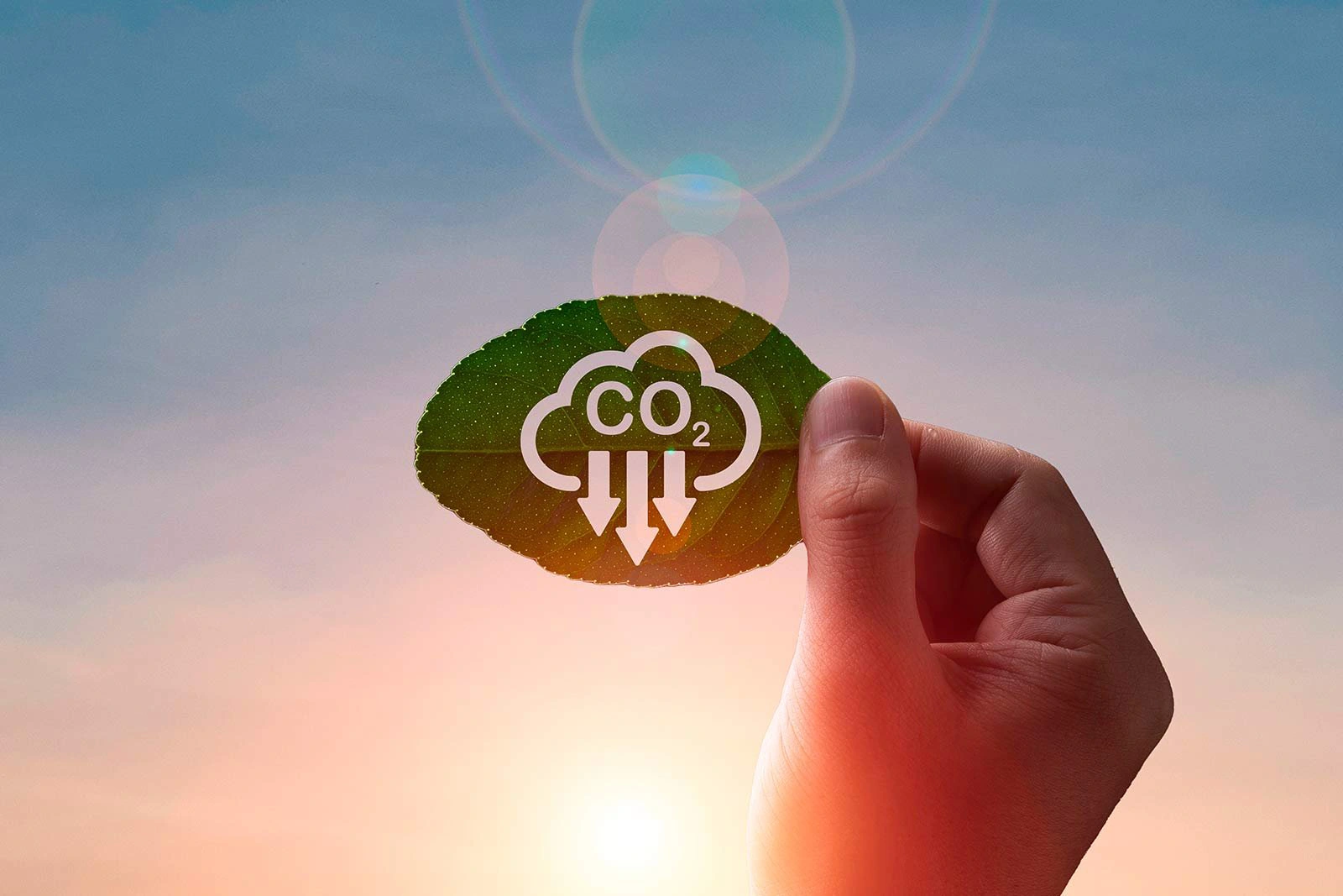 Representación de la reducción de la huella de carbono mediante la adopción de centros de datos e infraestructura de cloud verde sostenible